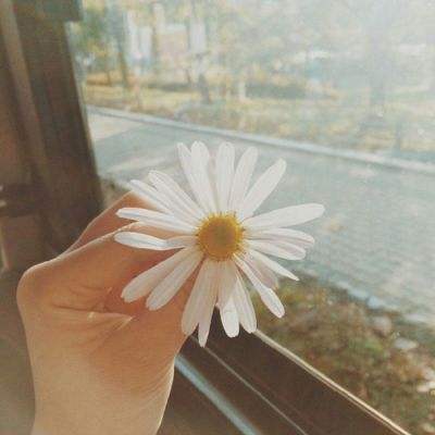 亚新综合平台截图